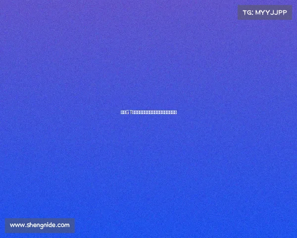 超级GT锦标赛激情竞速巅峰对决荣耀盛宴全解析